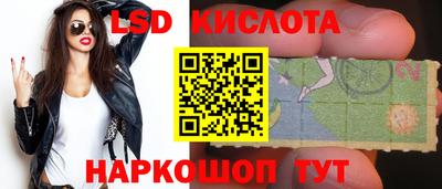 дмт Кимры