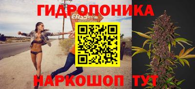 стаф Кинель