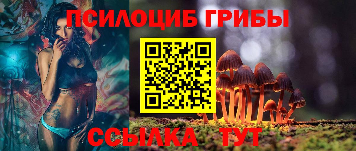 Лобня  наркошоп  Вход с VPN  Псилоцибиновые грибы GOLDEN TEACHER 